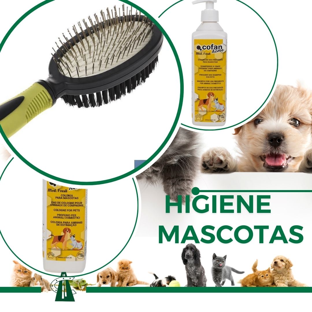 Mascotas